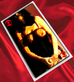 The D Card
