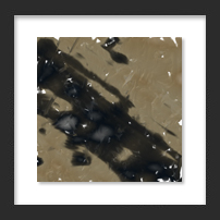 shadow of my former self framed
